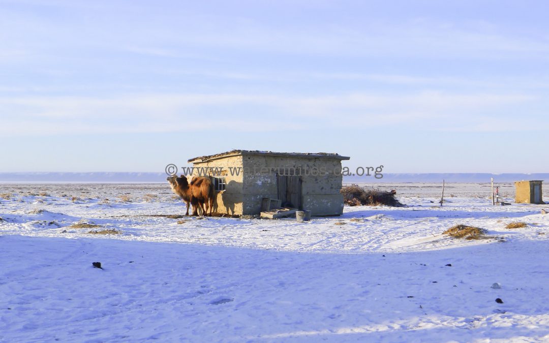 Aral Sea in winter