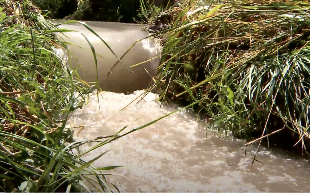 Integrated Water Ressources Management