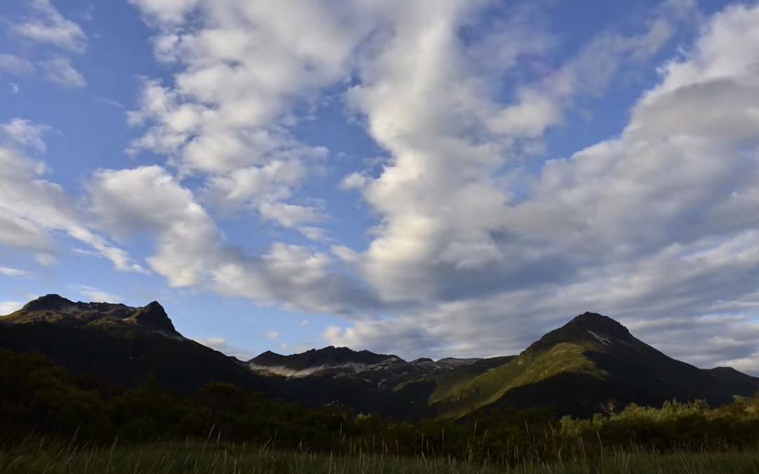 Glaciers and Climate Change